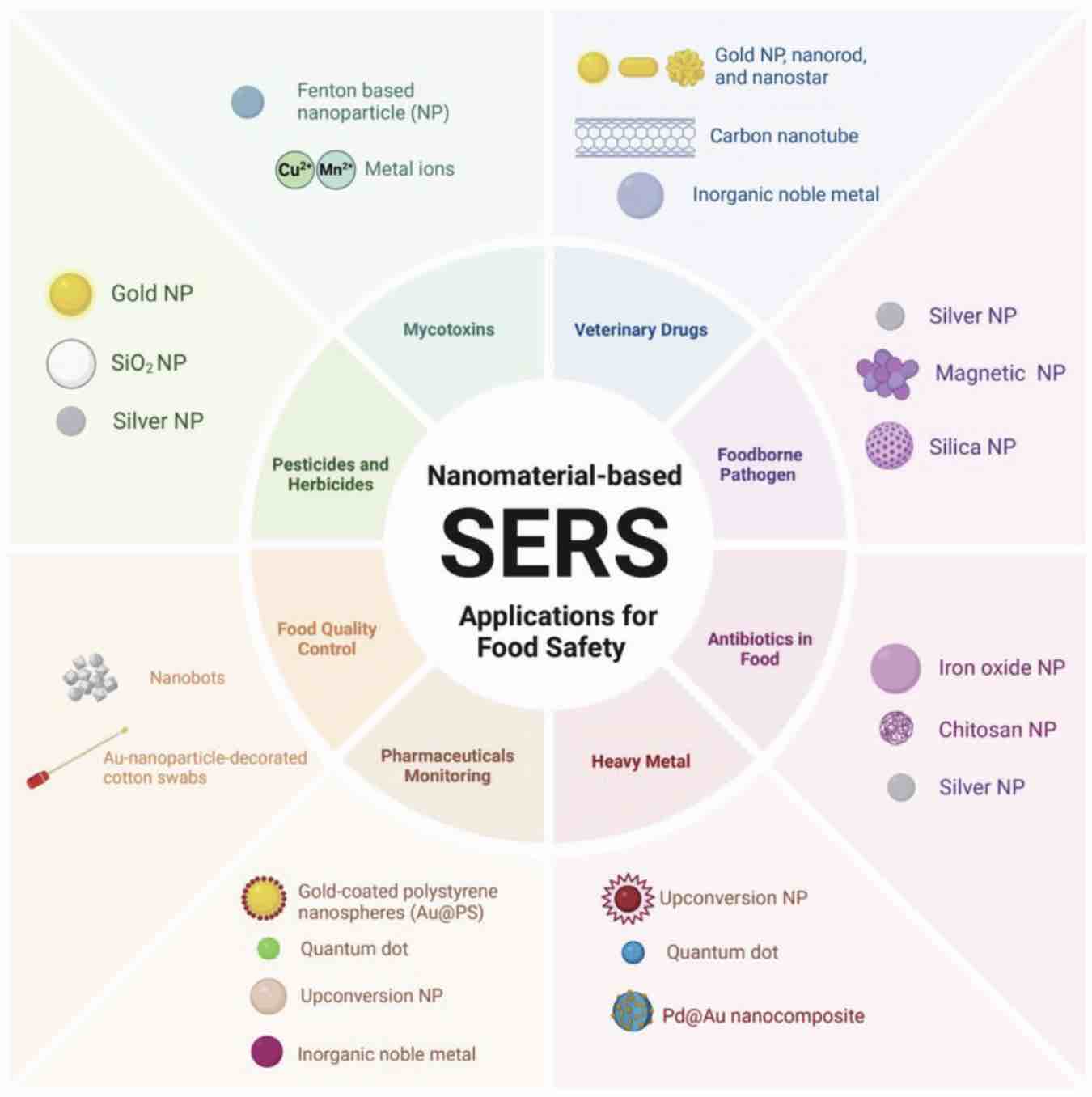 Nanotech-Based Rapid Food Safety Detection